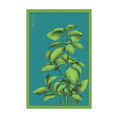 Load image into Gallery viewer, HERB SEED PACKETS