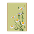 Load image into Gallery viewer, FLOWER SEED PACKETS
