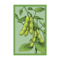 Load image into Gallery viewer, VEGETABLE SEED PACKETS