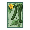 Load image into Gallery viewer, VEGETABLE SEED PACKETS