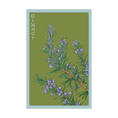 Load image into Gallery viewer, HERB SEED PACKETS