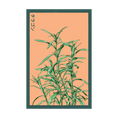 Load image into Gallery viewer, HERB SEED PACKETS