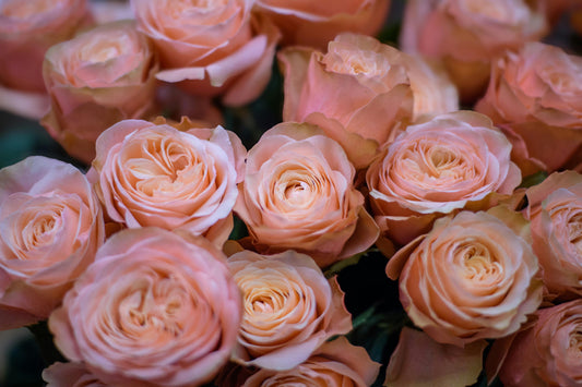 Galentine's Day Workshop 2/5