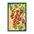 Load image into Gallery viewer, VEGETABLE SEED PACKETS
