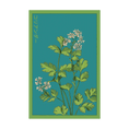 Load image into Gallery viewer, HERB SEED PACKETS
