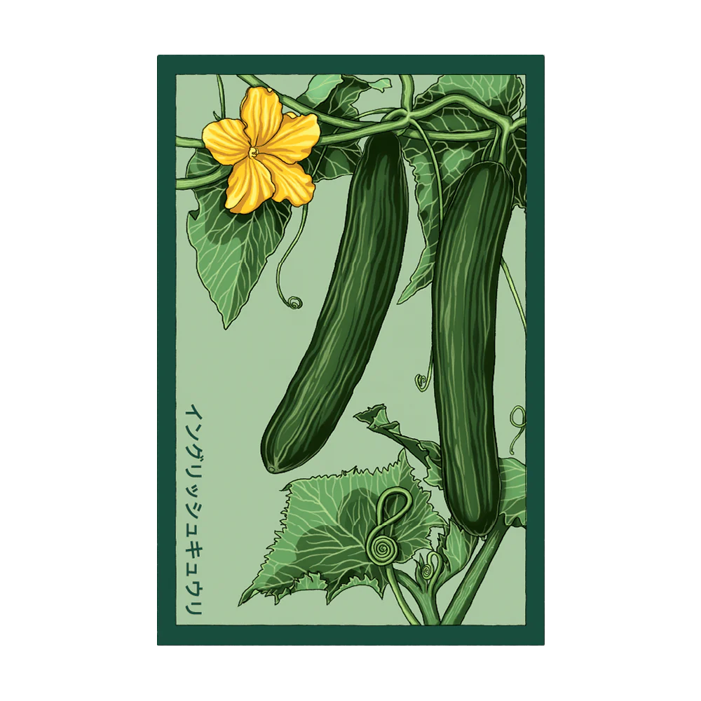 VEGETABLE SEED PACKETS