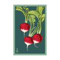 Load image into Gallery viewer, VEGETABLE SEED PACKETS
