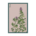 Load image into Gallery viewer, HERB SEED PACKETS
