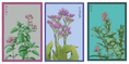 Load image into Gallery viewer, HERB SEED PACKETS
