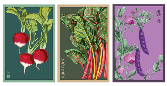 VEGETABLE SEED PACKETS